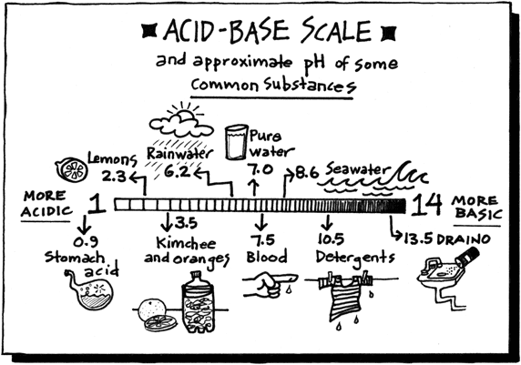  acid base